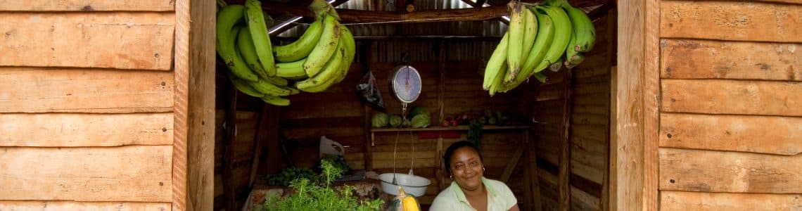 Woman in her small colmado shop with fruits and vegetables near Las Galeras, Samana.