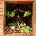 Woman in her small colmado shop with fruits and vegetables near Las Galeras, Samana.