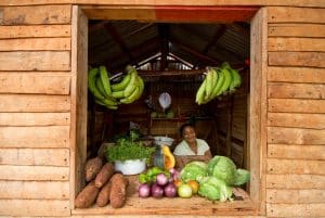 Woman in her small colmado shop with fruits and vegetables near Las Galeras, Samana.