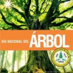 IIC Spanish School celebrates the national Arbor Tree Day in the Dominican Republic on May 5 and has already planted more than 100 trees with Click A Tree for its Spanish students learning Spanish at IIC in 2022.
