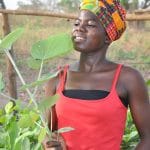 Learn Spanish in 2022 and plant a tree with IIC and Click a Tree in Ghana.