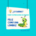 Cartoon worm with the funny expression in Spanish "feliz como una lombriz" promotes the course Spanish PLUS How to Speak Spanish like a Native with Common Spanish Idioms at IIC Spanish School Dominican Republic