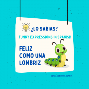 Cartoon worm with the funny expression in Spanish "feliz como una lombriz" promotes the course Spanish PLUS How to Speak Spanish like a Native with Common Spanish Idioms at IIC Spanish School Dominican Republic